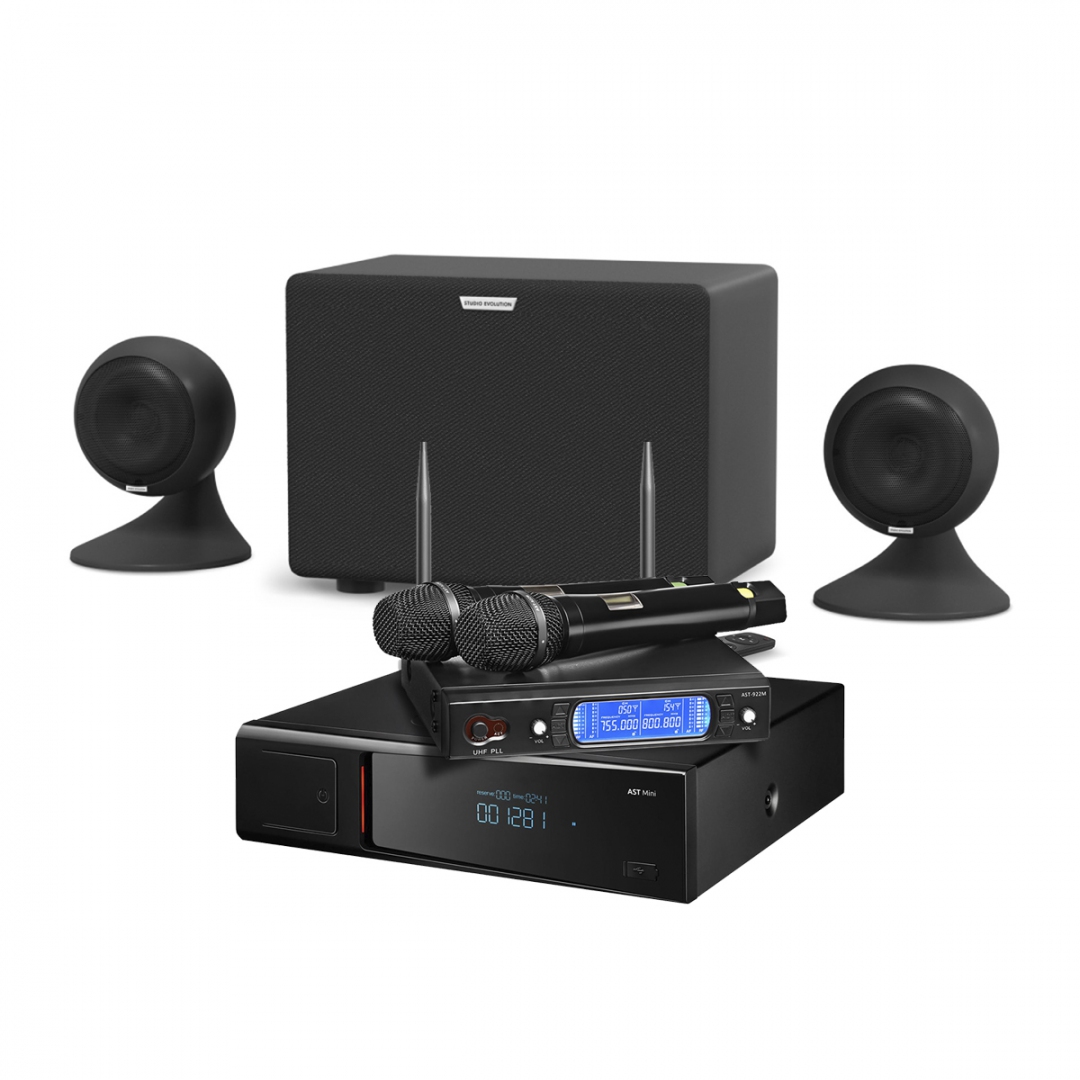 караоке-комплект AST Mini Sound Sphere в Николаевске