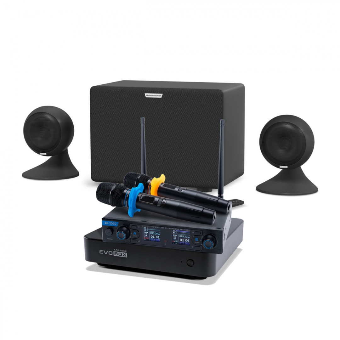 караоке-комплект EVOBOX + EvoSound Sphere 2.1 в Николаевске