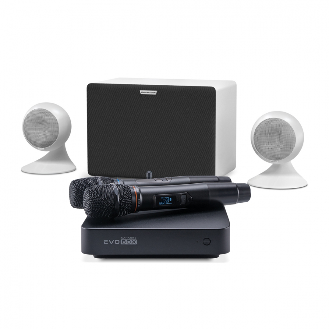 караоке-комплект EVOBOX Classic + EvoSound Sphere 2.1 в Николаевске