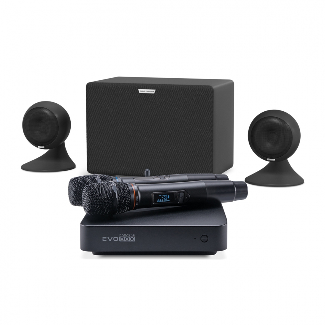 караоке-комплект EVOBOX Plus + EvoSound Sphere 2.1 в Николаевске