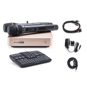 EVOBOX Classic караоке-система для дома в Николаевске