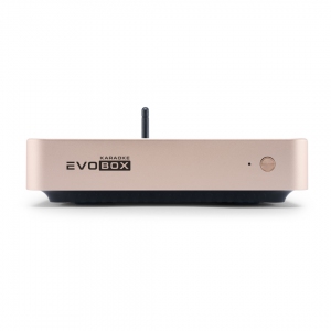 EVOBOX Plus караоке-система для дома в Николаевске