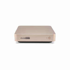 EVOBOX с микрофонами в Николаевске