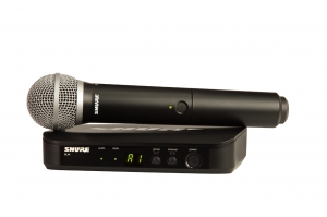 SHURE BLX24E/PG58 M17 вокальная радиосистема в Николаевске